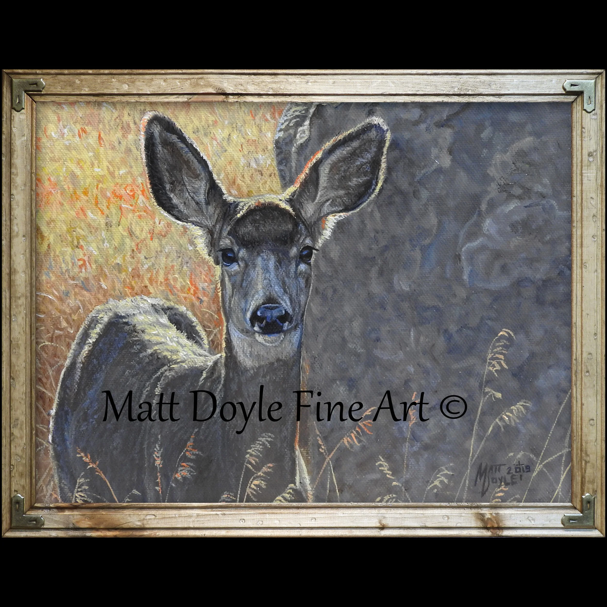 Deer — Matt Doyle Fine Art